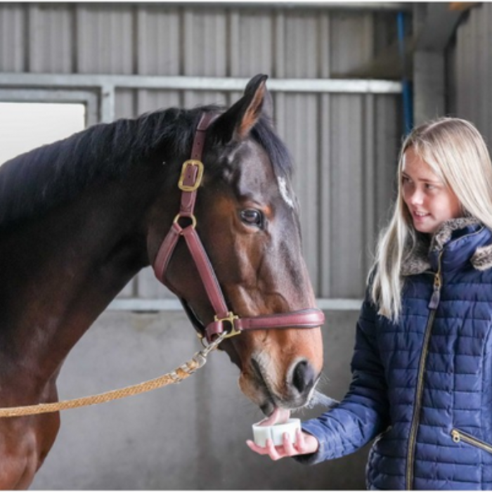 Pierre à lécher Little - LIKIT