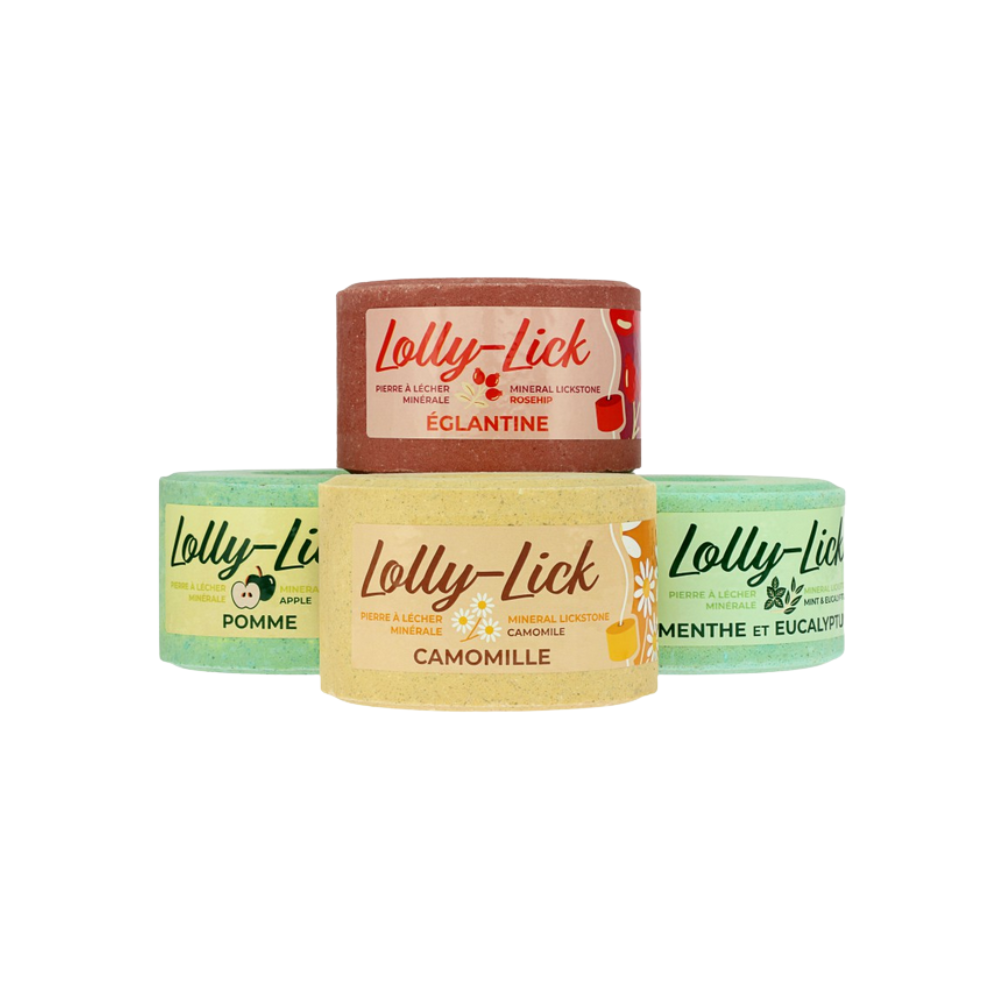 Pierre à sel LOLLY-LICK - HIPPOTONIC