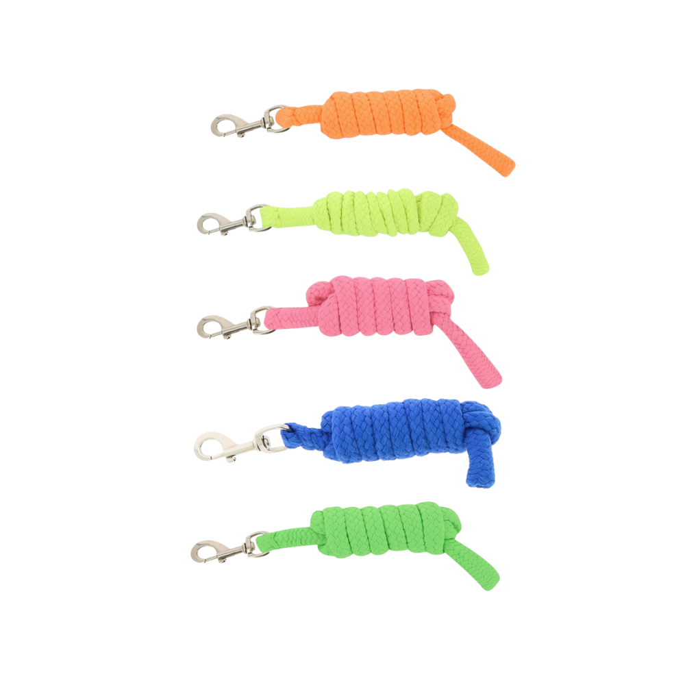 Longe d'attache Néon -  NORTON