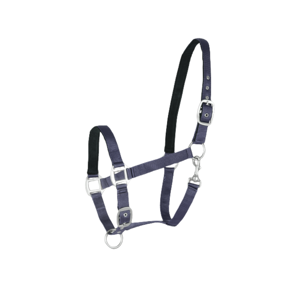 Licol Satin - WALDHAUSEN