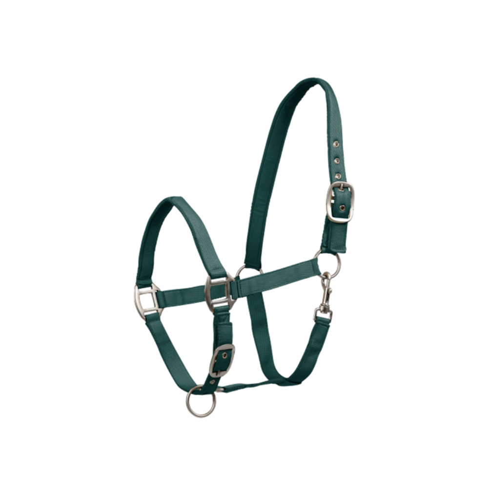 Licol Satin - WALDHAUSEN