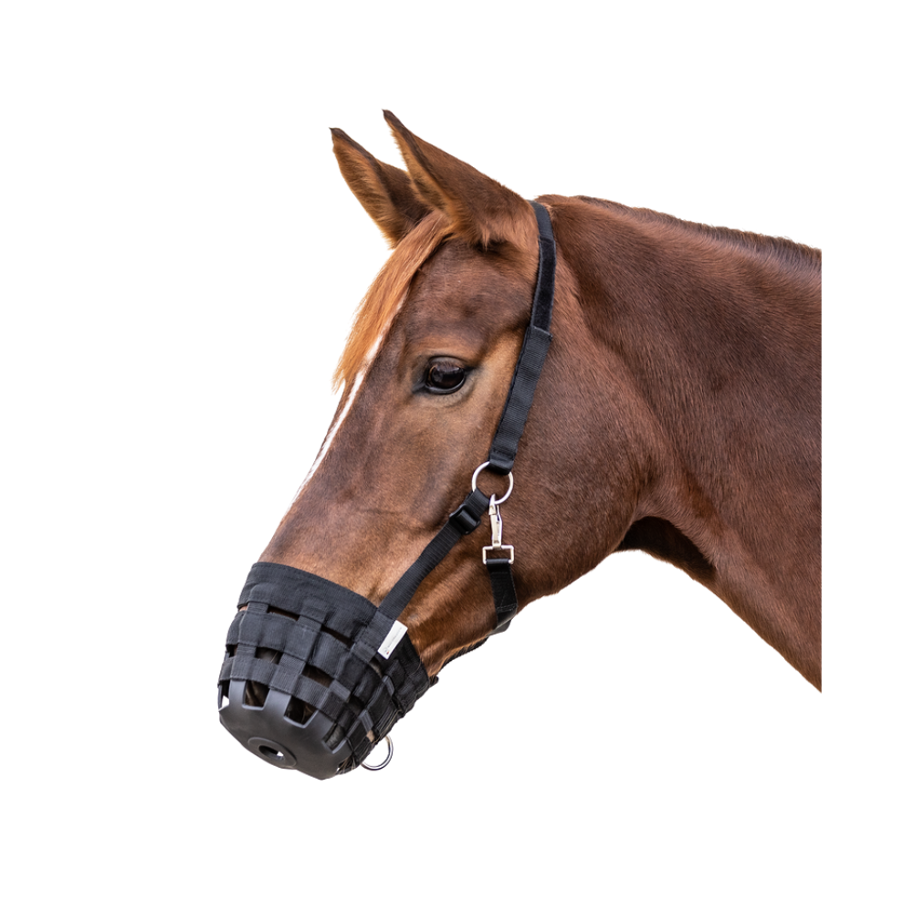 Muselière pour pâturage