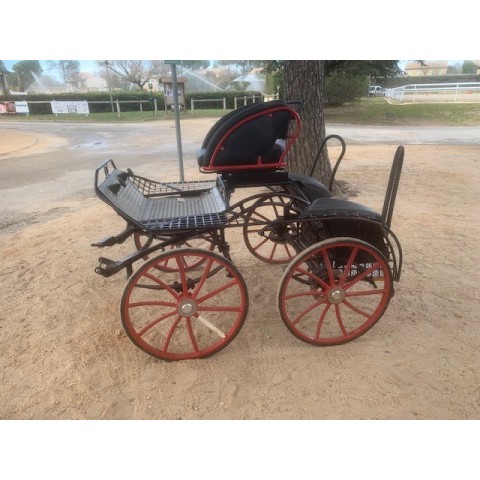 Falcon poney Glinkowski occasion 2