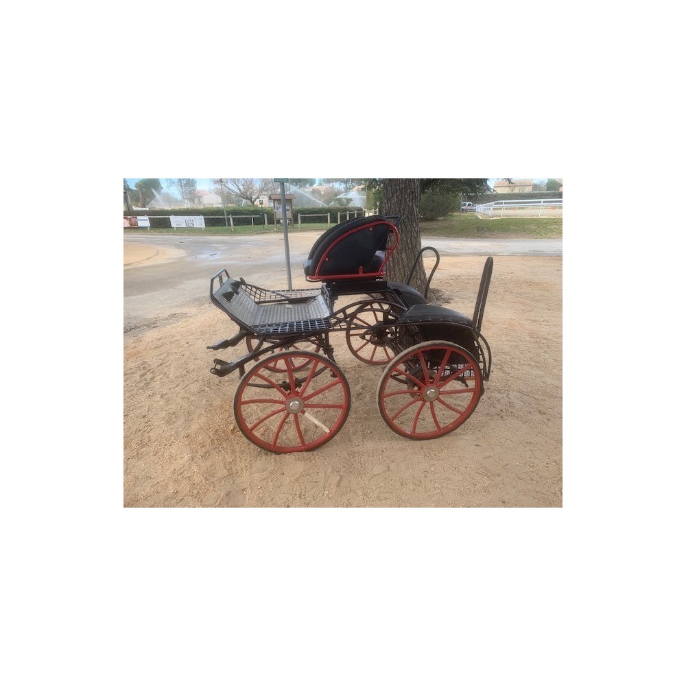 Falcon poney Glinkowski occasion