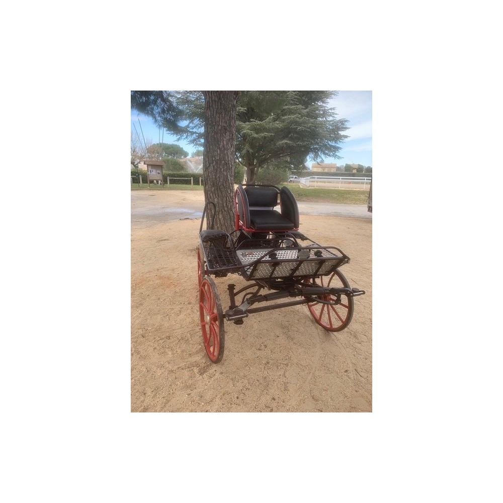 Falcon poney Glinkowski occasion