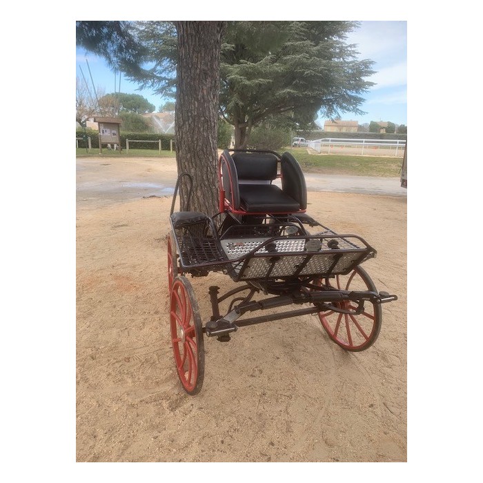 Falcon poney Glinkowski occasion