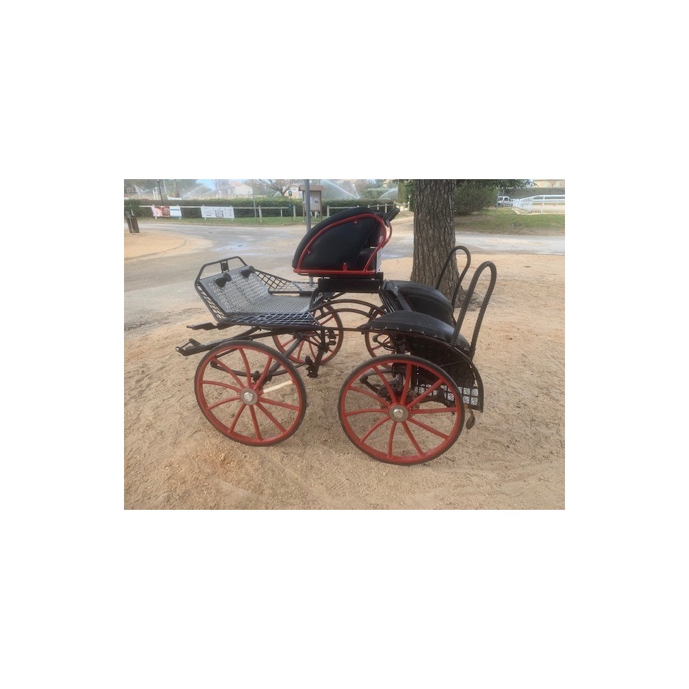 Falcon poney Glinkowski occasion