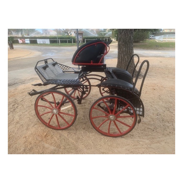 Falcon poney Glinkowski occasion