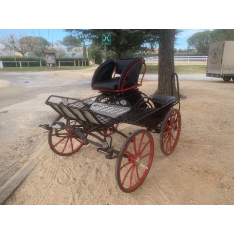 Falcon poney Glinkowski occasion