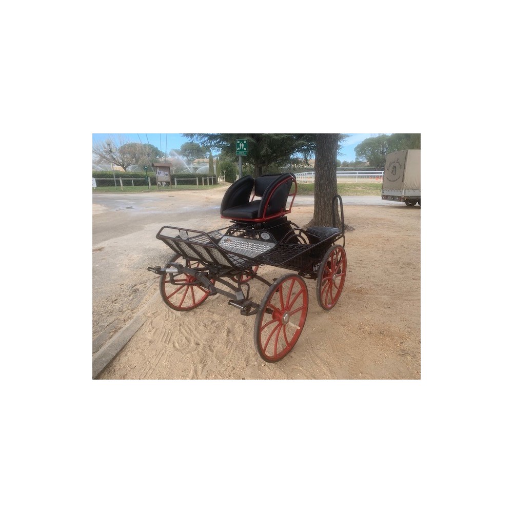 Falcon poney Glinkowski occasion