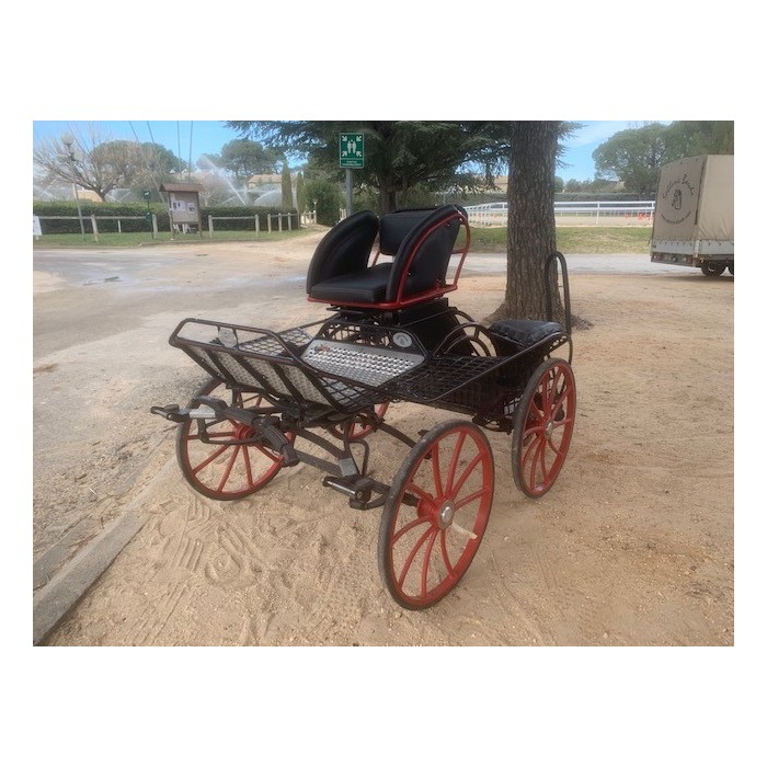 Falcon poney Glinkowski occasion