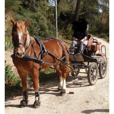 Marathon NS 220/2 Glinkowski occasion