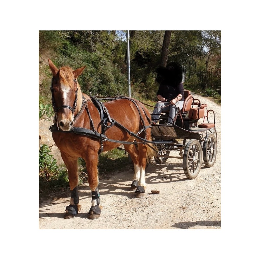 Marathon NS 220/2 Glinkowski occasion