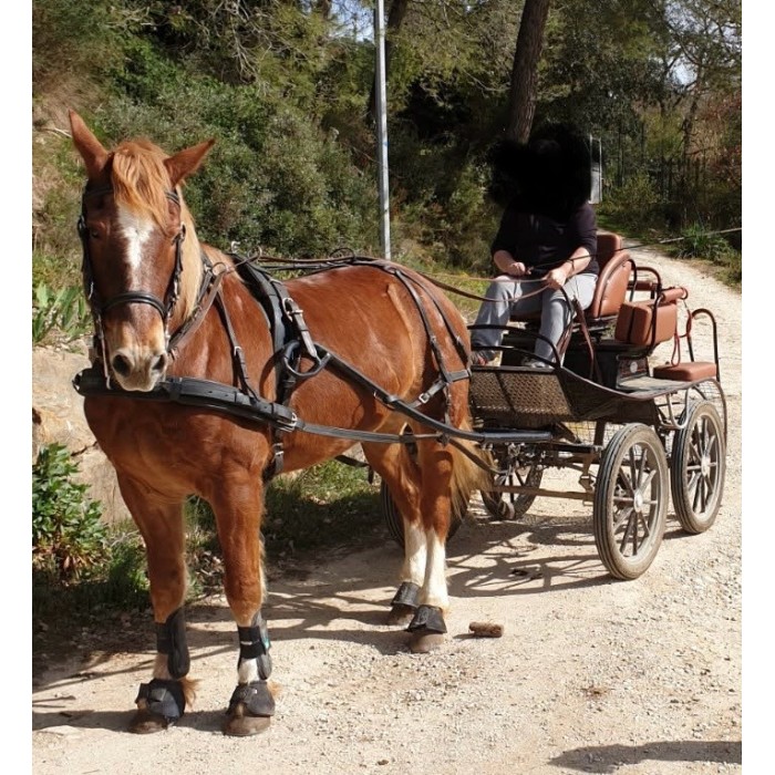 Marathon NS 220/2 Glinkowski occasion