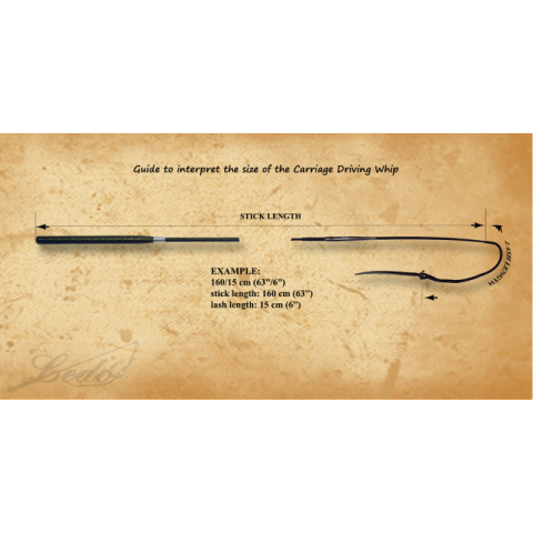 Fouet d'entrainement - LEDO 2