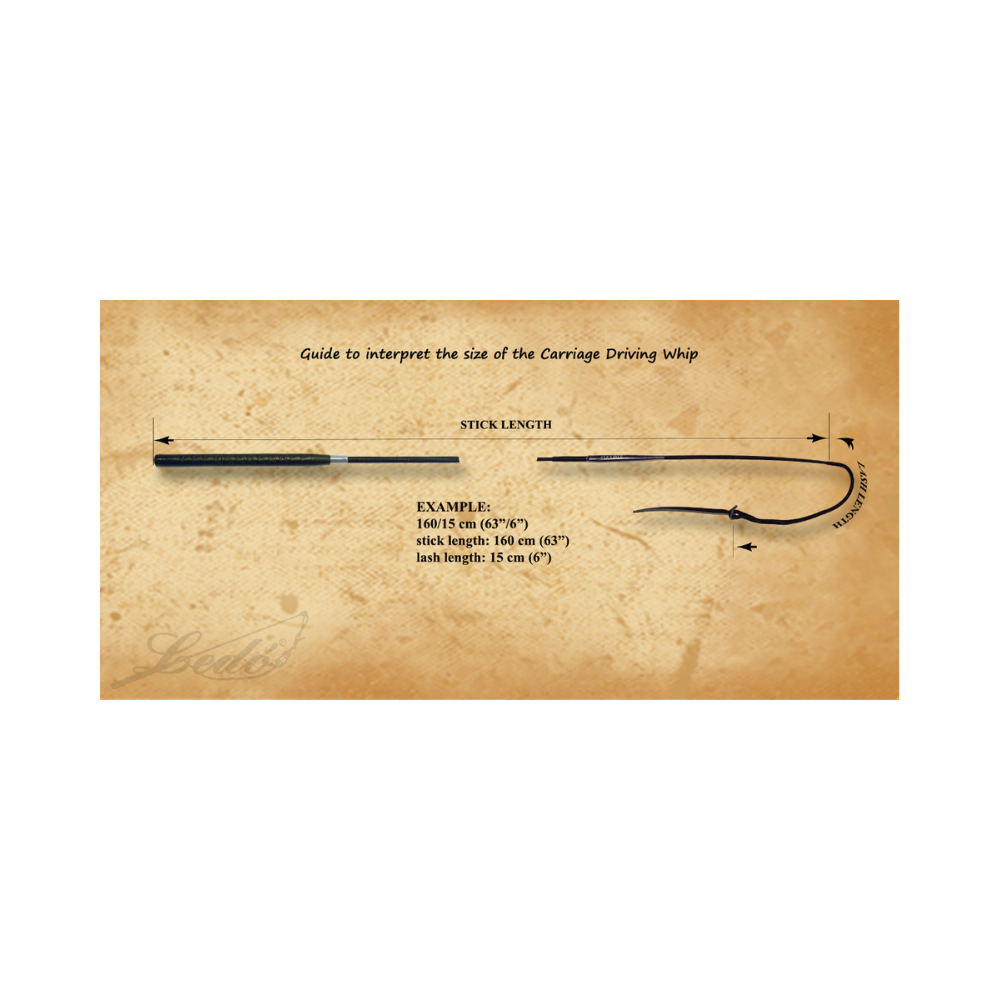 Fouet d'entrainement - LEDO