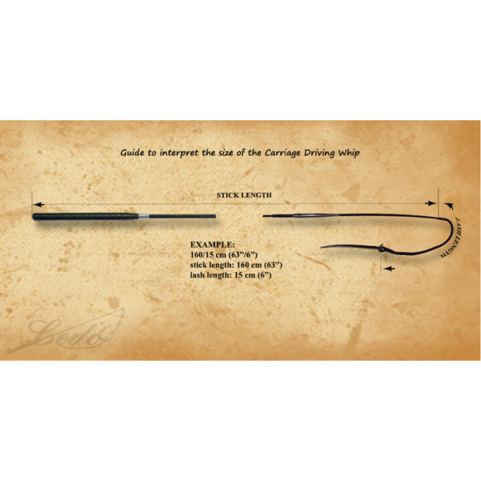 Fouet d'entrainement - LEDO