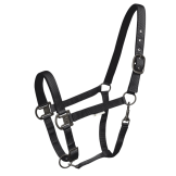 Licol Gloomy - WALDHAUSEN