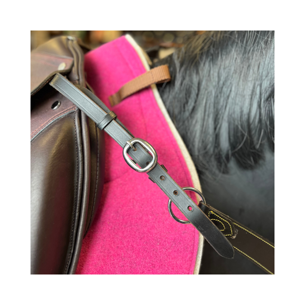 Collier de chasse de randonnée SB