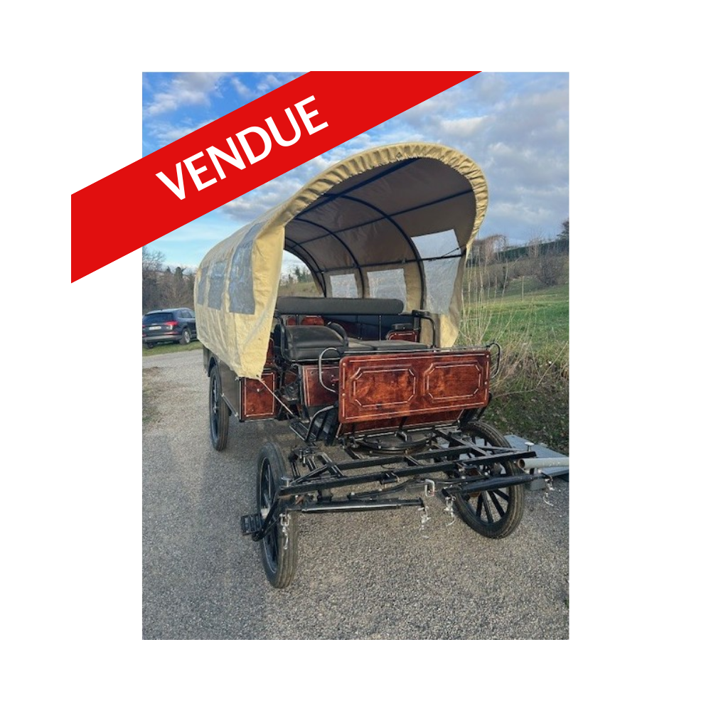 Wagonnette Szimanski occasion