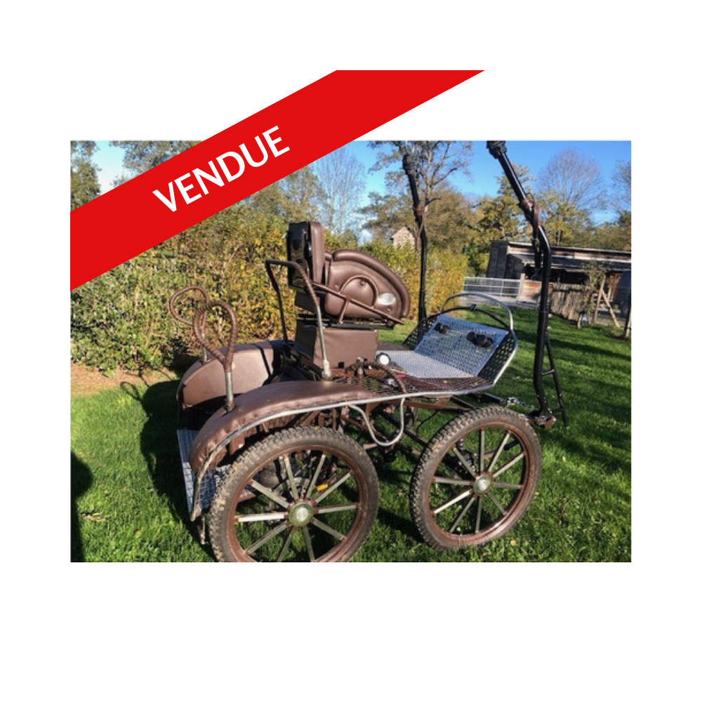 Tiger 220/1 Glinkowski occasion