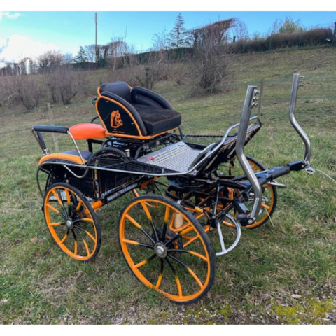 Falcon 190 Glinkowski 2