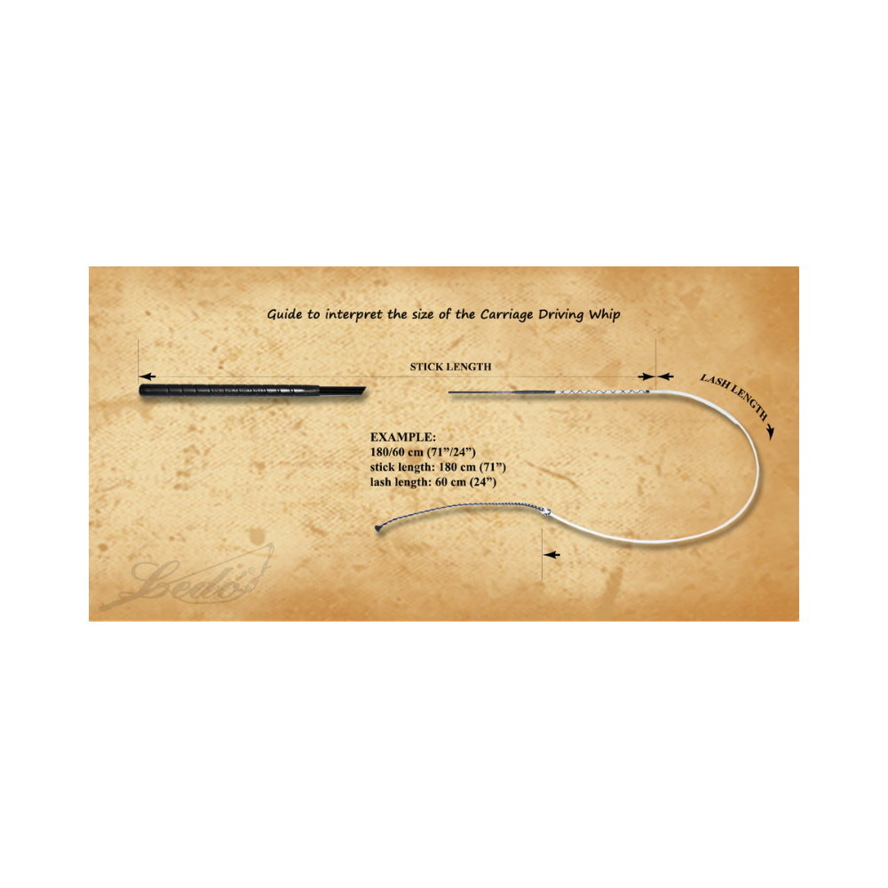 Fouet léger poignée plastique - LEDO