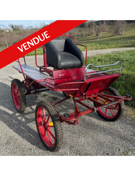 Marathon loisirs poney d'occasion - Poj-Kon