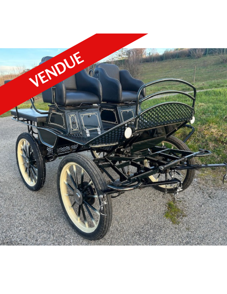 Trainingwagen Szimanski occasion