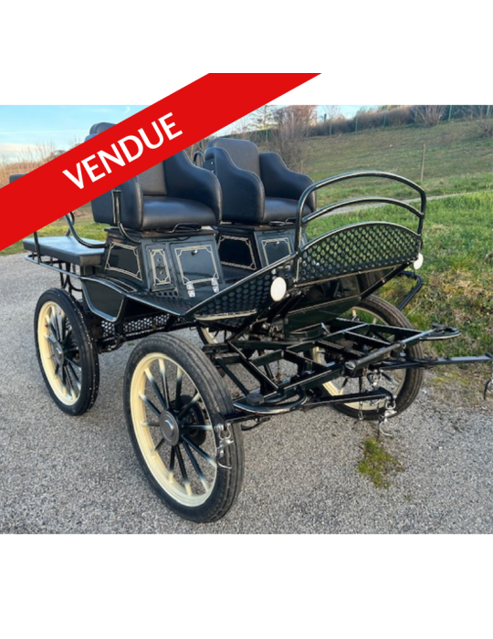 Trainingwagen Szimanski occasion