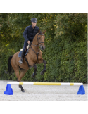 Bloc d’obstacle Cavaletti - WALDHAUSEN