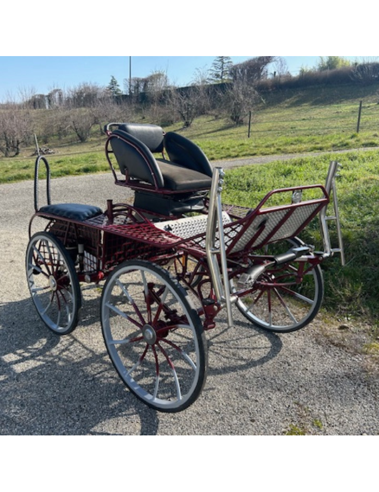 Falcon 190 Glinkowski occasion