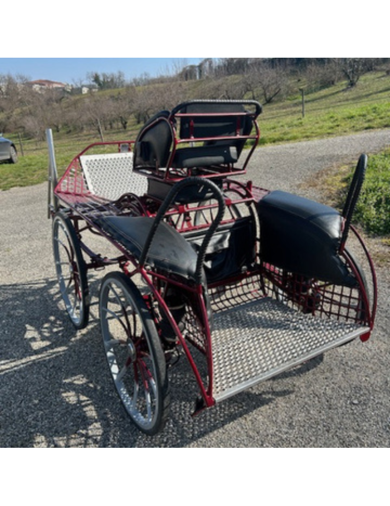 Falcon 190 Glinkowski occasion