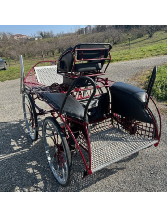 Falcon 190 Glinkowski occasion