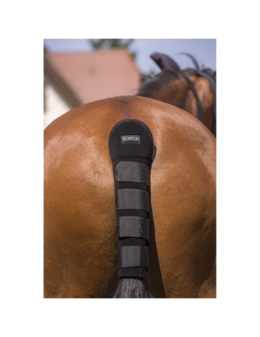 Protège-queue - NORTON 2