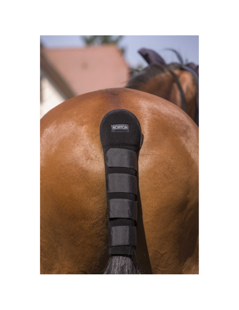 Protège-queue - NORTON