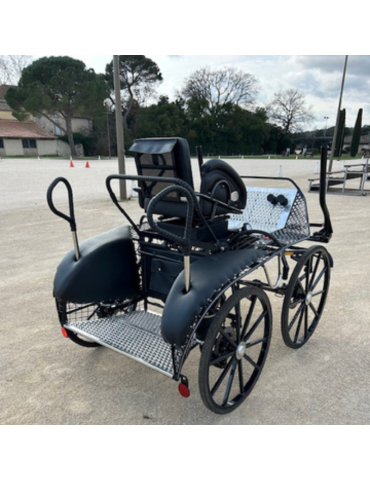 Panther 202/1 Glinkowski occasion 2