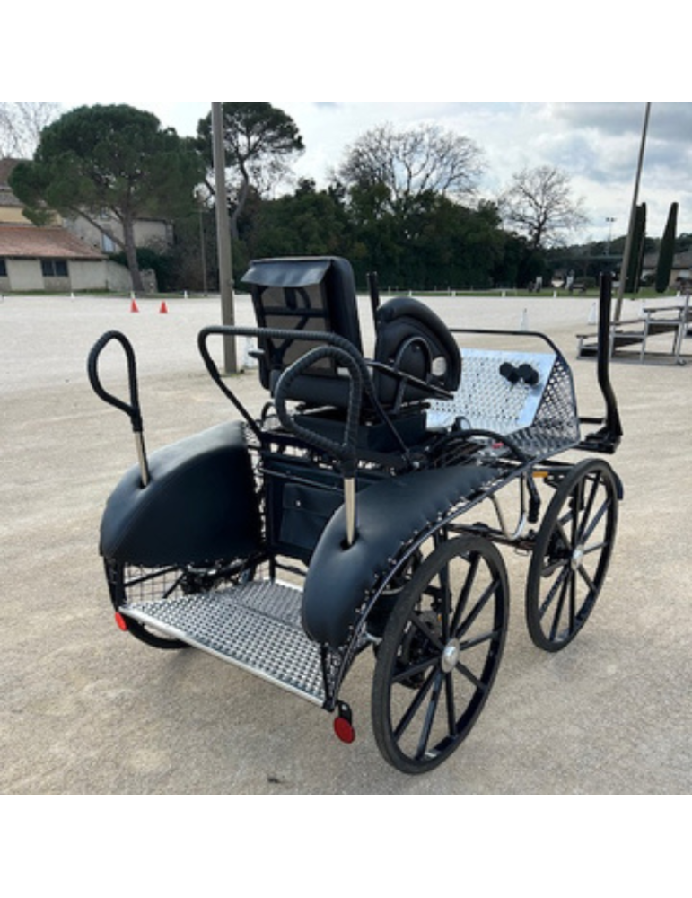 Panther 202/1 Glinkowski occasion