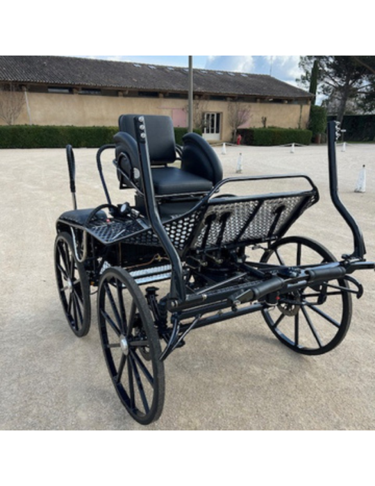 Panther 202/1 Glinkowski occasion