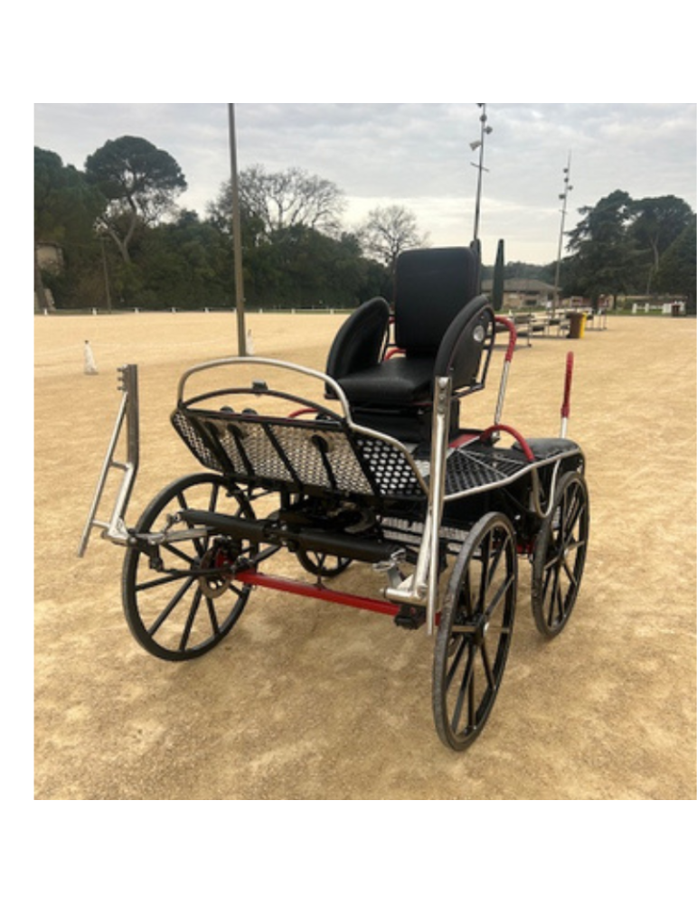 Tiger 220/1 Glinkowski occasion