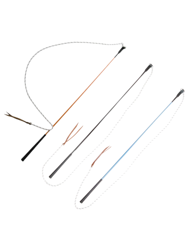 Carrot stick - T de T