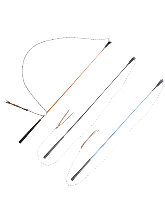 Carrot stick - T de T