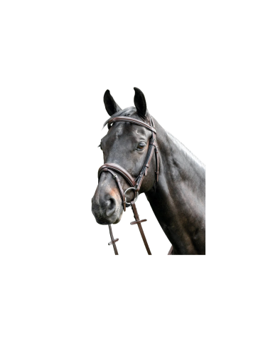 Bridon Bombée avec Muserolle