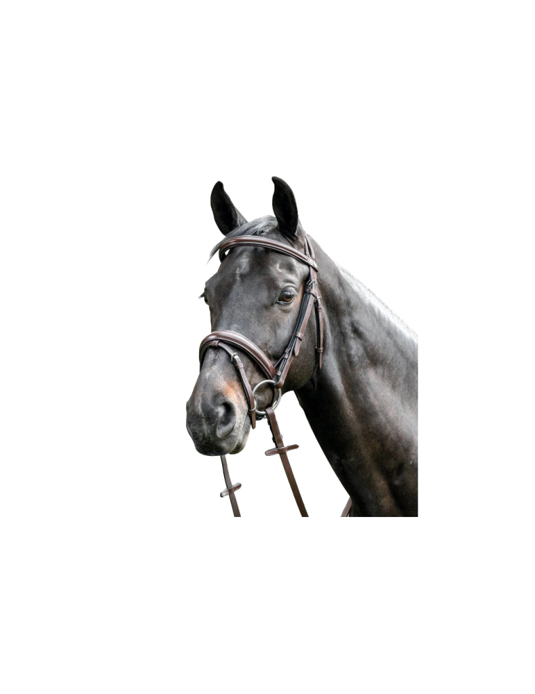 Bridon Bombée avec Muserolle