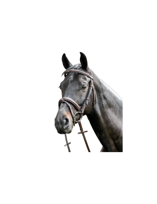 Bridon Bombée avec Muserolle