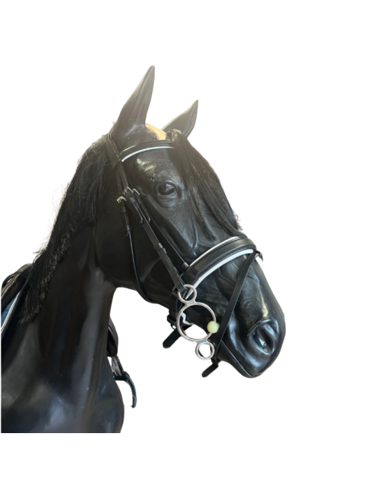 Bridon Premiere Toulon - BR