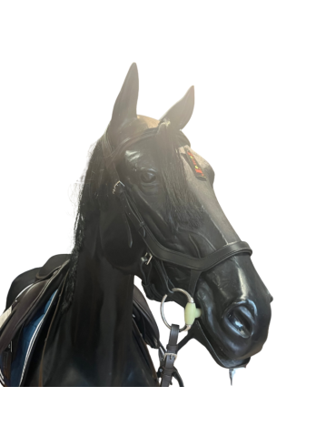 Bridon Muserolle Anatomique