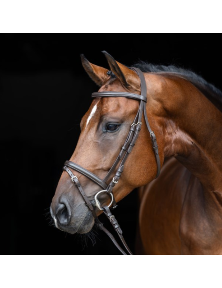 Bridon Standard - KERBL