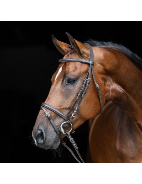 Bridon Standard - KERBL