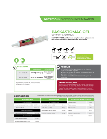 Paskastomac - PASKACHEVAL 2